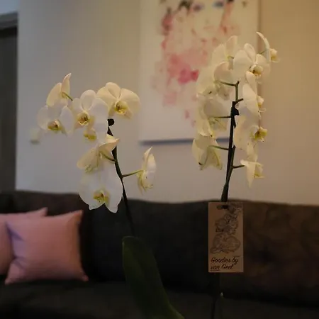 Deluxe Andreas * Limenaria (Thasos)