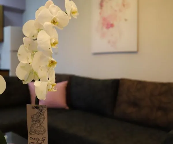 Deluxe Andreas アパート リメナリア